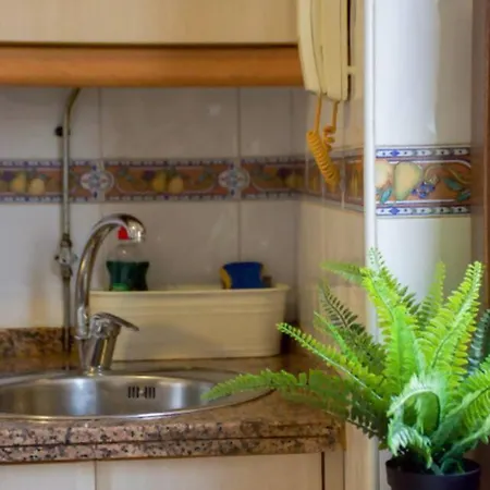 Conide El Mirador Oviedo