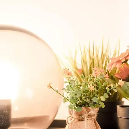 Daire Conide El Mirador