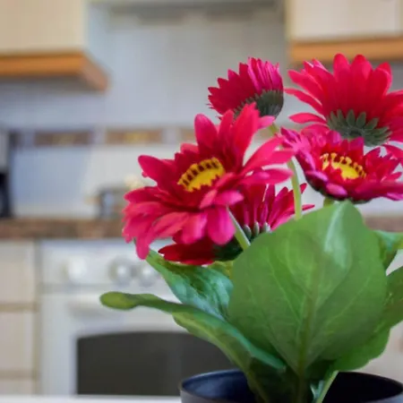 Daire Conide El Mirador Oviedo