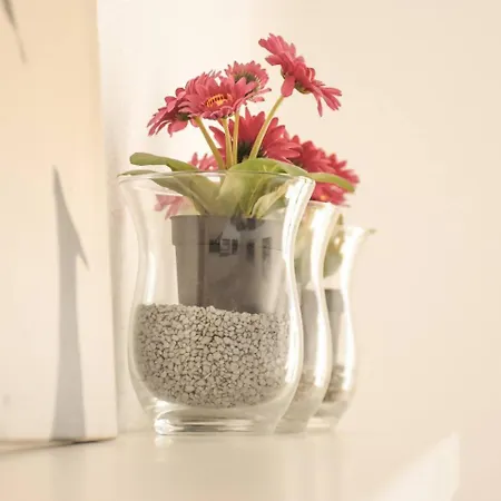 Conide El Mirador Daire Oviedo