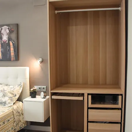 Coniderentals El Mirador Oviédo